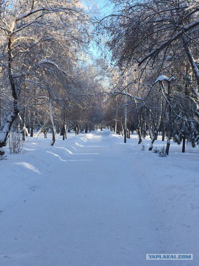 Ташкент, 2 января