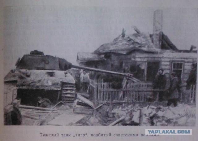 Триста спартанцев и 89 "Фердинандов"