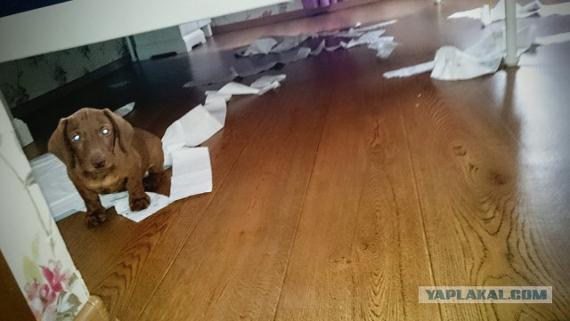 Памяти ушедшего рано Друга