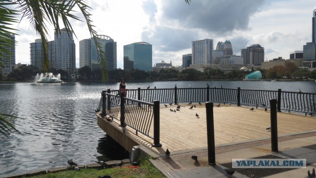 Флорида.Орландо.