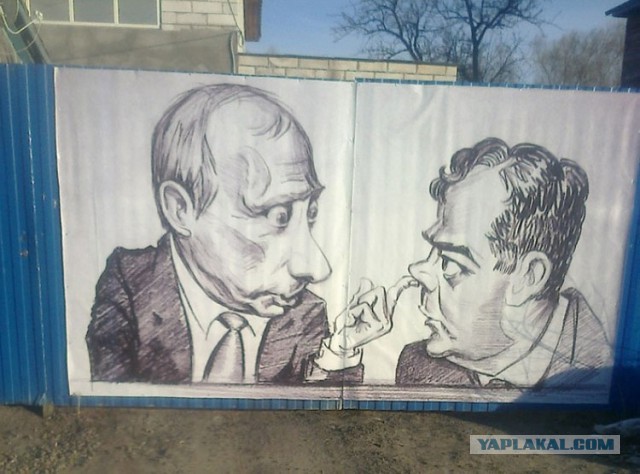 Порция картинок из сети