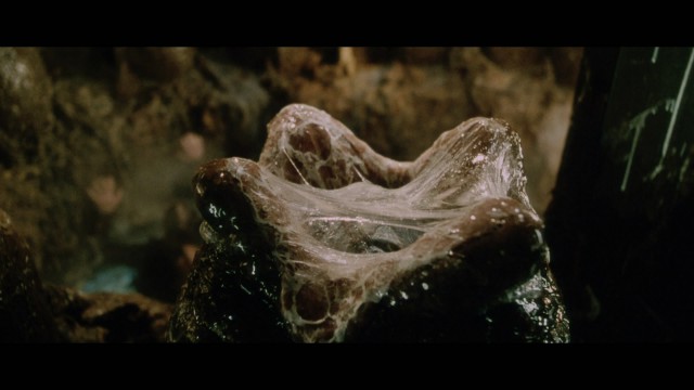 Трейлер игры "Scorn"