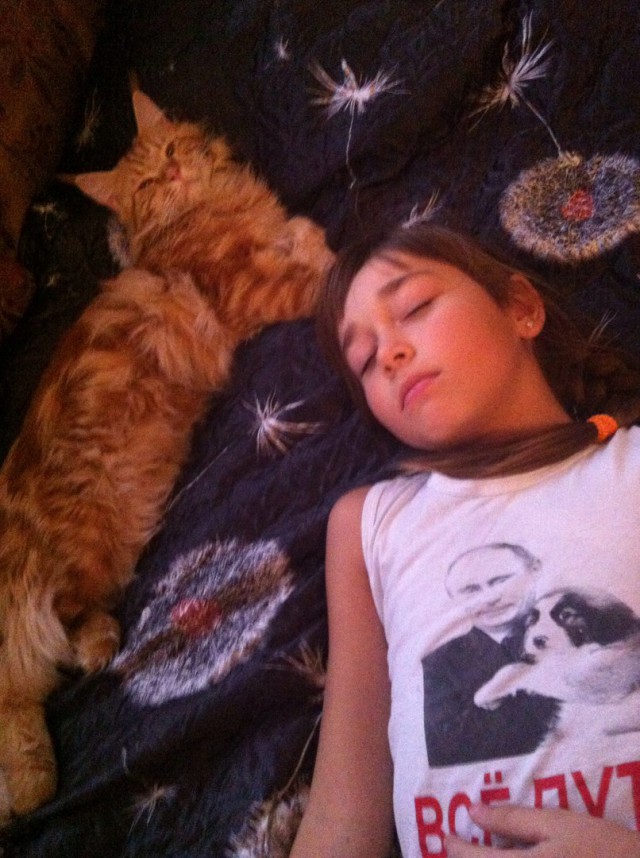 Нападение кота