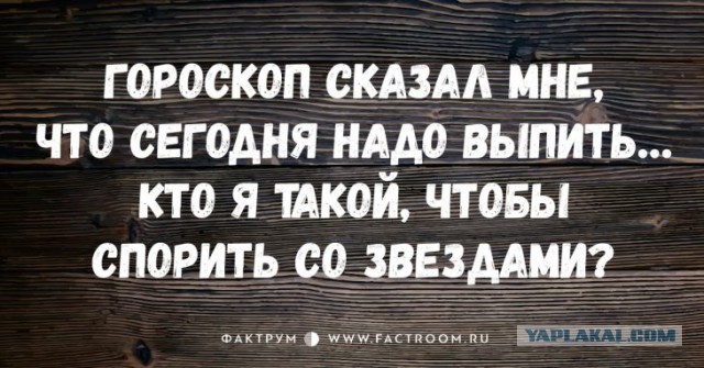 Высказывания из Интернета