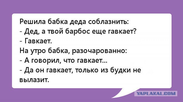 13 анекдотов в формате  .jpg