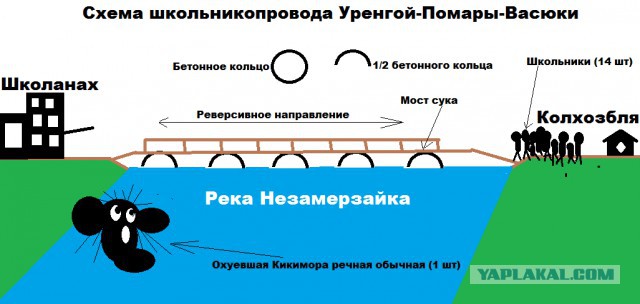 Иркутский семиклассник носит детей через реку, чтобы они могли попасть в школу
