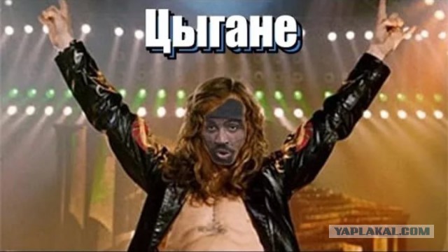 Цыгане в Москве пригрозили скормить львице нанятого на праздник звукорежиссера