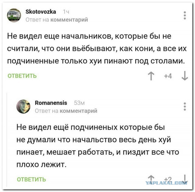 Смешные комментарии из социальных сетей