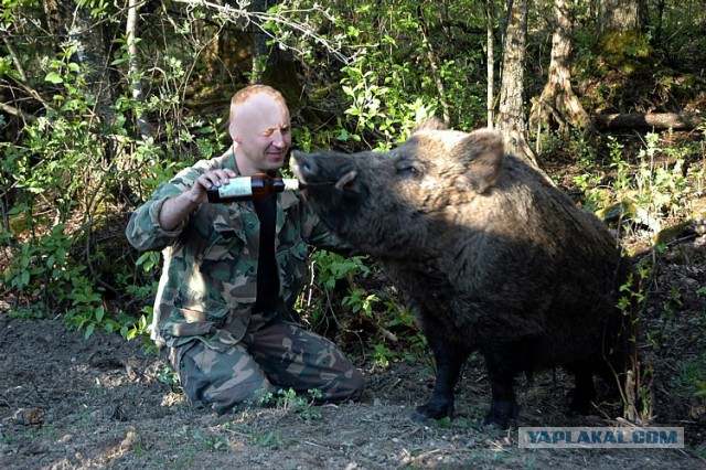 Не дай Бог так оголодать!