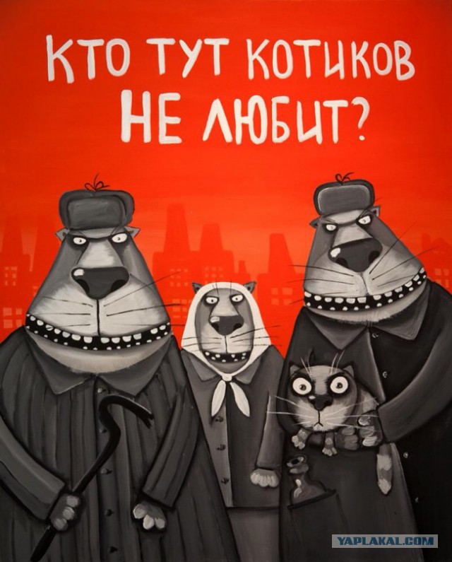 "Мяу-шоу" в Минске