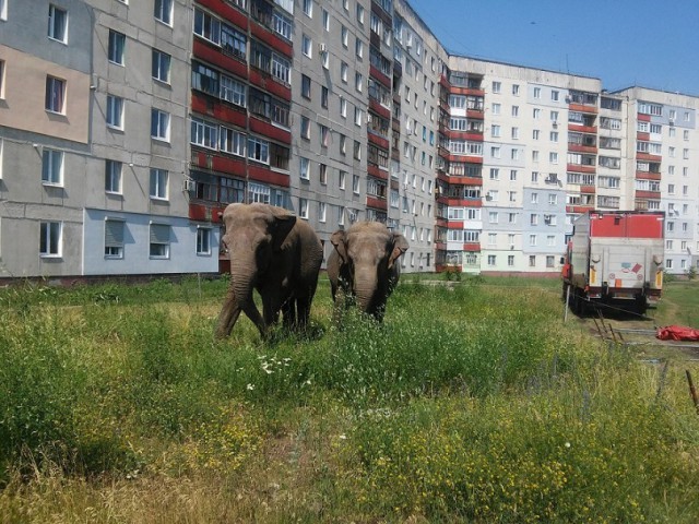 Подборка забавных картинок