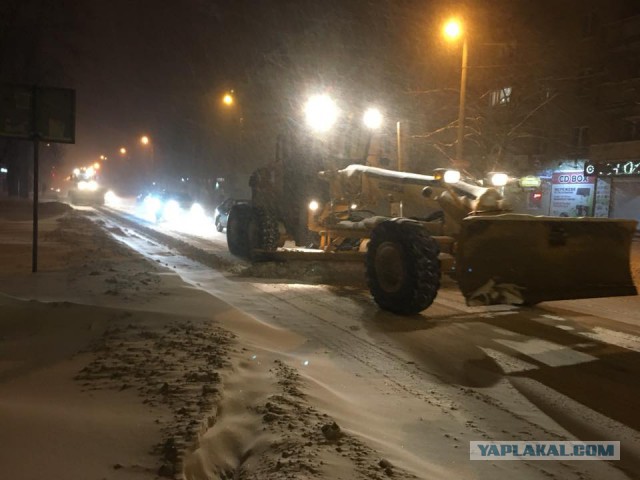 Вот и пришла весна!