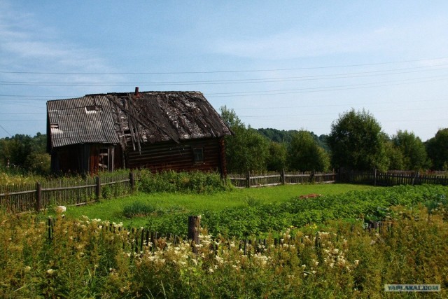 Проходимцы Веппского леса