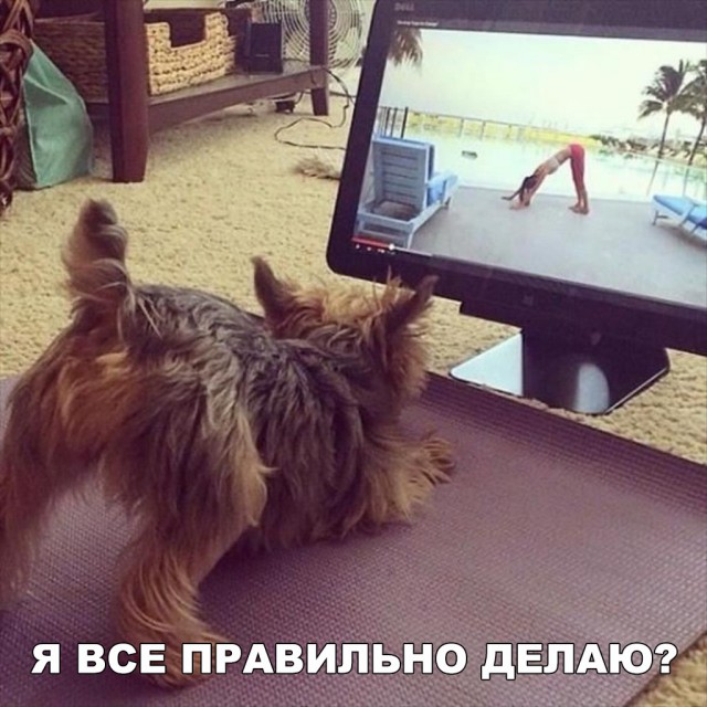 Нестандартный юмор