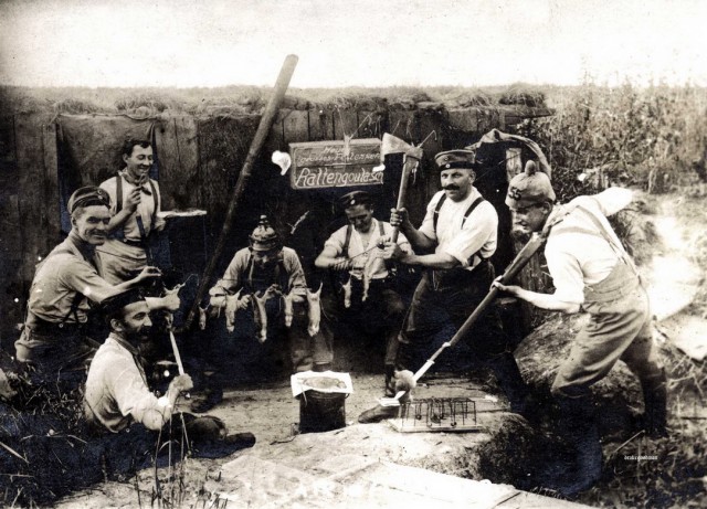 Про крыс
