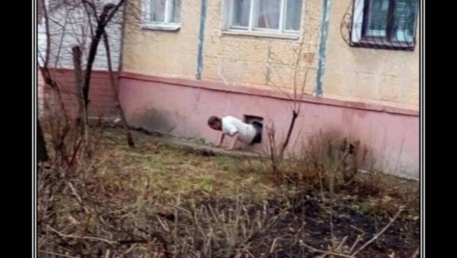 Картинки по-приколу