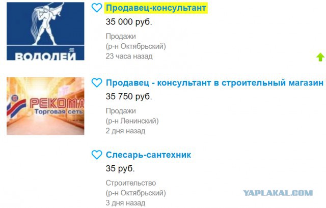 Кто прижал российские зарплаты к плинтусу