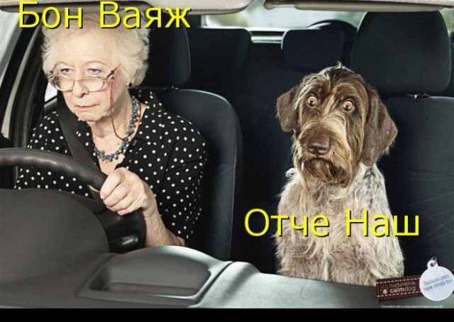 Нанопёс ?