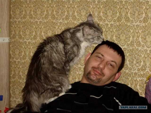 Котовторник (14.02.2012)