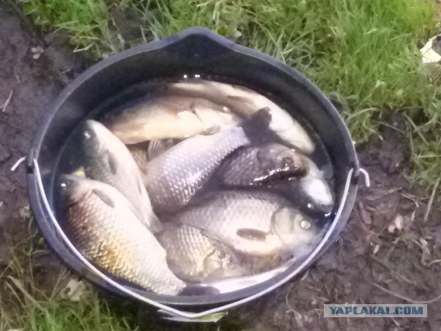 Весна, ждем рыбалки по открытой воде.