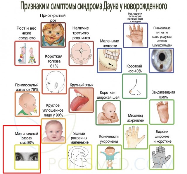 В честь Греты Тунберг назвали новый вид жука. У насекомого нет глаз и крыльев, но зато есть косичкообразные усики