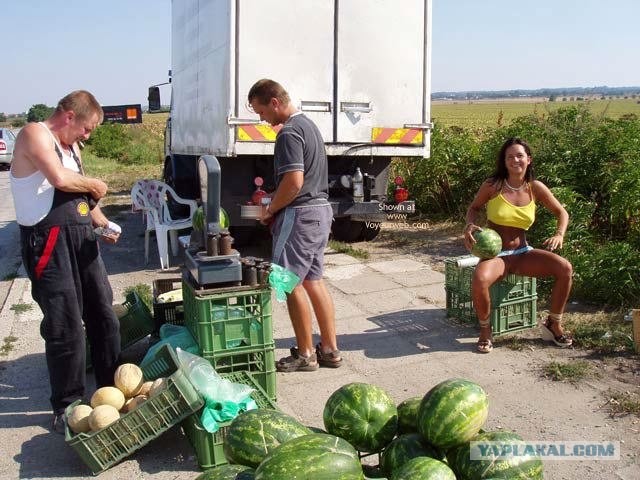 Как повысить продаваемость арбузов?