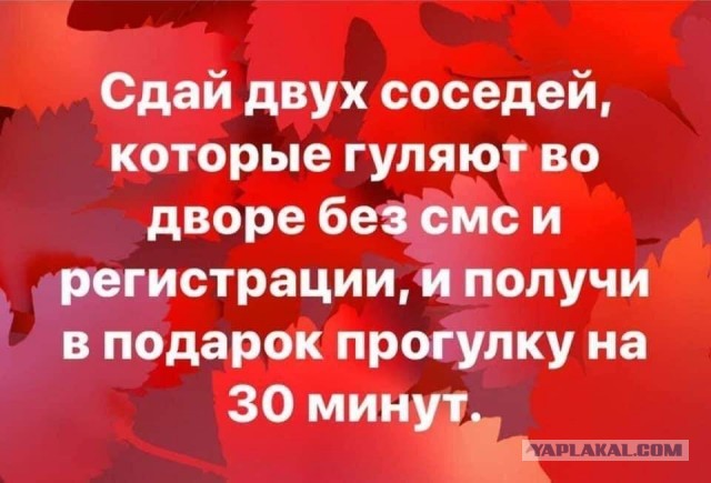 Время проверки отношений: дочка сдала мать, нарушившую самоизоляцию ради парикмахерской