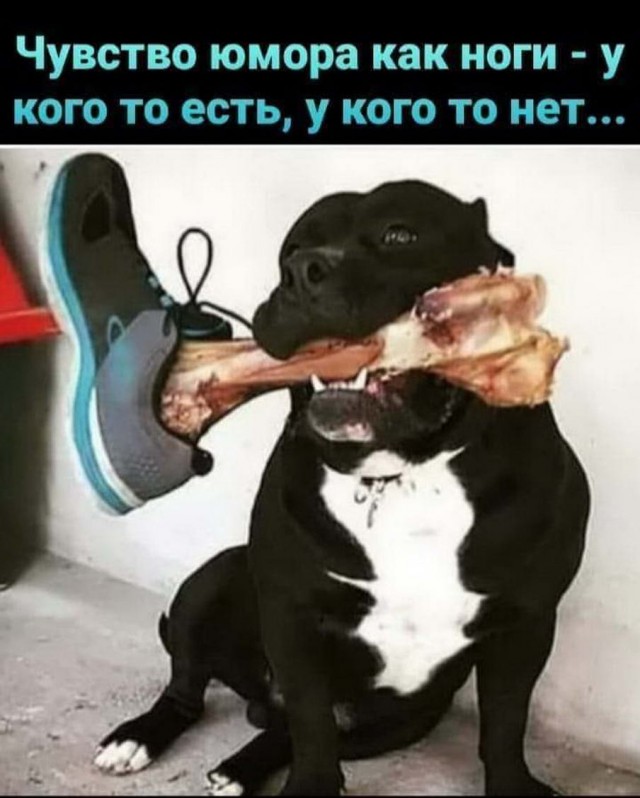 Чуток картинок 13.06.20