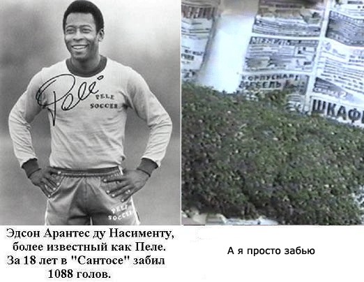 10000 голов