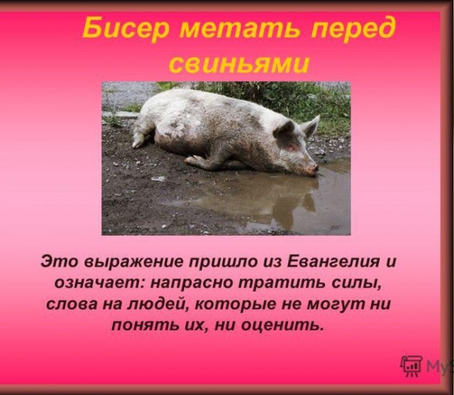 В Ярославской области две машины решили разбить колонну военной техники