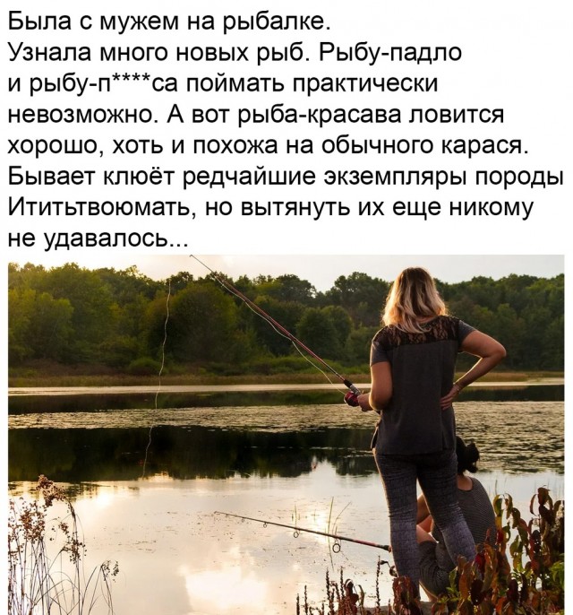 Так себе картинки 29.07.20