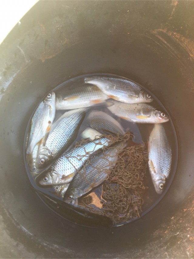 Закрытие сезона