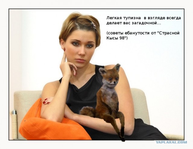 Таксидермия + наркомания