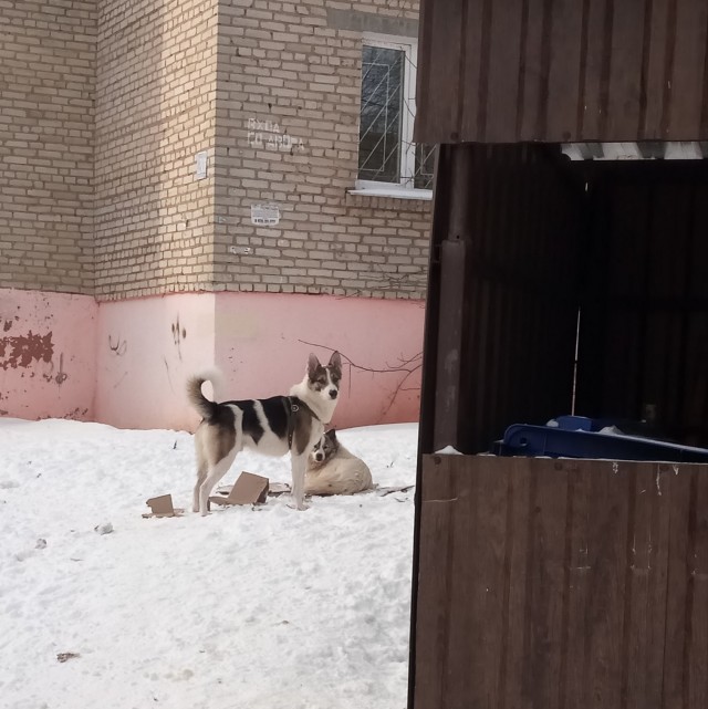 Добрые картинки 28.11.20