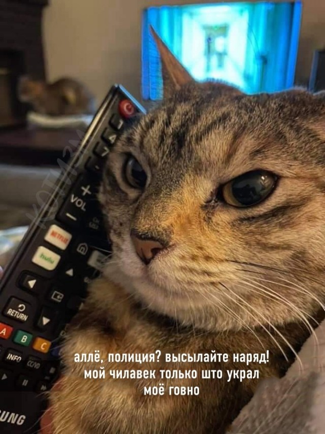 Картинки разные нужны, картинки всякие важны