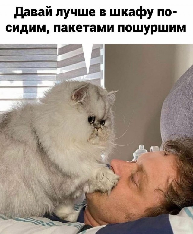 Картинки с надписями и всякие жизненные фразы 5.06.21