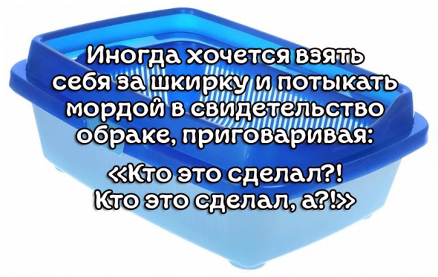 И где?