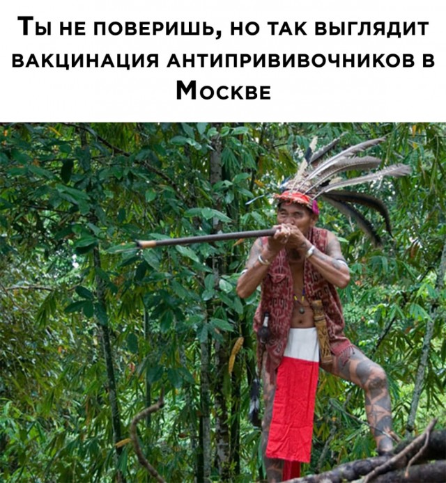На злобу дня