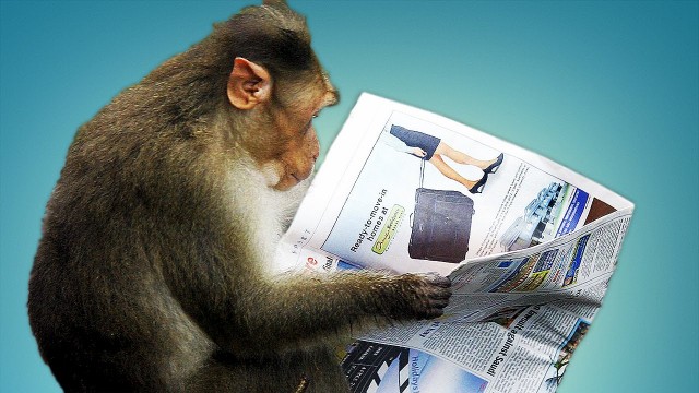 Хотел узнать свежие новости, но вспомнил, что не умеет читать