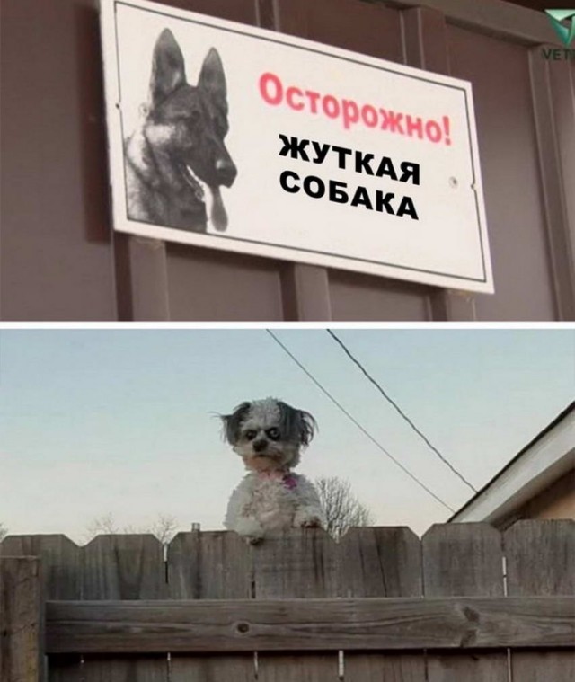 Картинки и мемы 08.10.2021