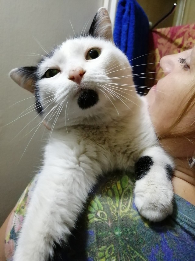 Ну что, с Прошедшими нас всех!
