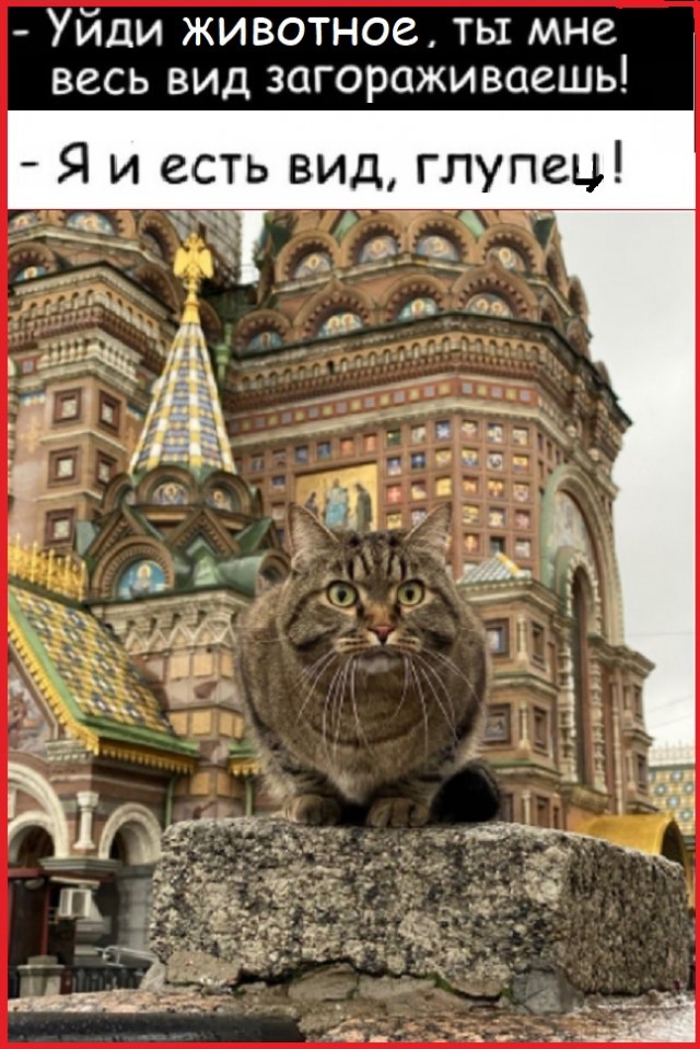 Картинки с надписями и всякие жизненные фразы