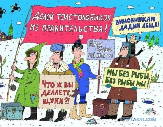 Утро, солнце. С праздником!