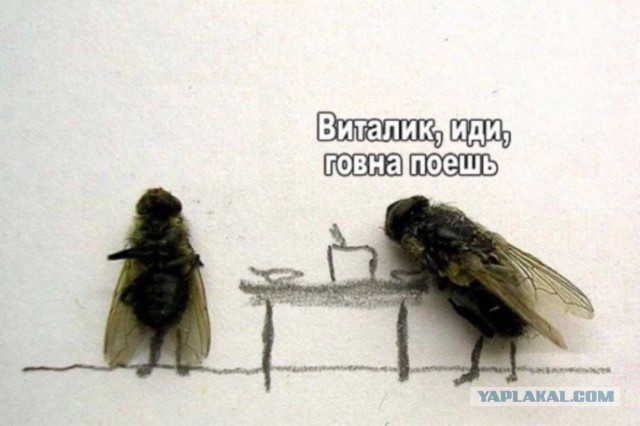 Всё так же ненавидят
