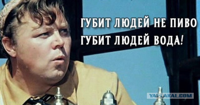 Не было бы счастья, да пиво помогло: Как пивзавод превратил умирающий колхоз в оазис благополучия