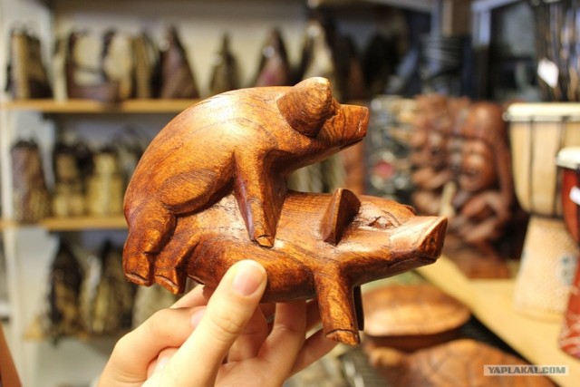 Путешествие на Гавайи