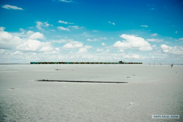 Вот в чем вся соль!