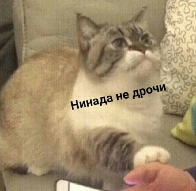 Картинки разные, картинки всякие. НУЖНЫ!