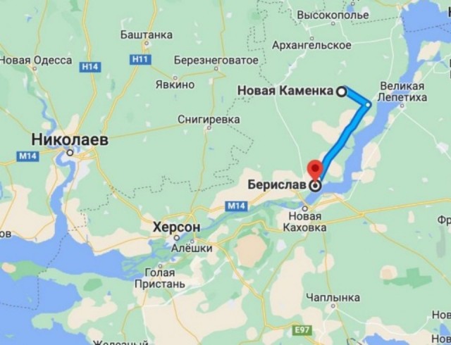 Пандемия съехавших крыш - разновидности болезни. Россия и мир. Часть 44.