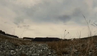 Wargaming 2